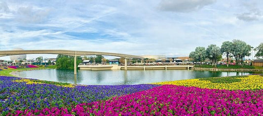 Ultimate Magic: Luxury Accommodations and Exciting Activities at Disney World Resort in Orlando